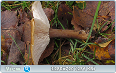 0_f27fc_5cec63b2_orig.png