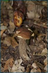 0_d0c48_373f42b_orig.jpg