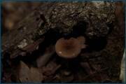 0_d3236_8a10c579_orig.jpg