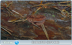 0_f567c_e3f9dcd1_orig.png