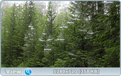 0_e9096_f902945_orig.png