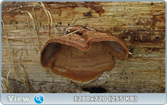 0_fd6cf_ca85b578_orig.png