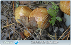 0_ea44c_8f84cc4e_orig.png