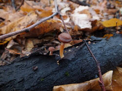 0_c506e_b0566acb_M.jpg