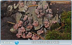 0_f561d_a26872e4_orig.png