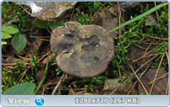 0_fb911_75d2758a_orig.png