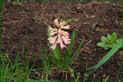 0_11de22_312d7104_orig.jpg