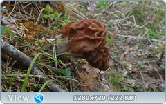 0_1055e1_c64fa0e5_orig.png