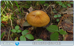 0_10b560_e09badfe_orig.png