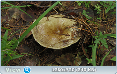 0_10b598_bfb89b7d_orig.png