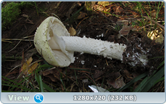 0_fbbb3_5b430644_orig.png