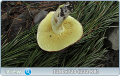 0_e6b75_cb8fbce4_orig.png