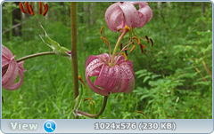 0_e784d_8a42233b_orig.png