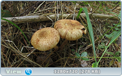 0_ef3b0_69ca38b5_orig.png
