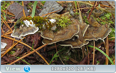 0_f6e1a_b4633769_orig.png