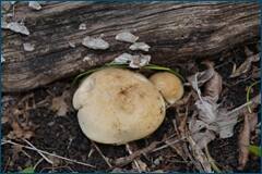 0_cce5b_f89d7475_orig.jpg