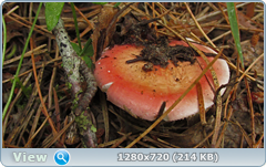 0_e9ad9_6607b17f_orig.png