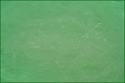 0_e2d3b_19795c1a_orig.png