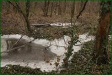 0_f2926_22d169d5_orig.jpg