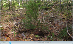 0_104155_ef5e84b3_orig.png