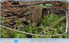 0_10561f_1951b87c_orig.png