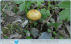 0_10612d_b93967b8_orig.png