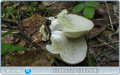 0_106530_36470a59_orig.png