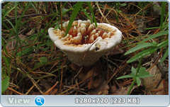 0_10c76c_eae6682f_orig.png