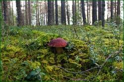 0_12d387_ccd3e874_orig.jpg