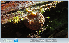 0_109309_fe93aeb3_orig.png