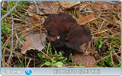 0_112254_5521d69b_orig.png