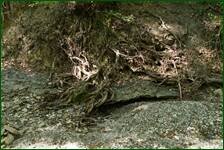 0_edec4_77ec605a_orig.jpg