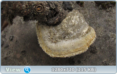 0_101fd6_93b6dfe5_orig.png