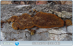 0_1027ef_4a63b487_orig.png