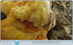 0_105649_cf3ab95_orig.png