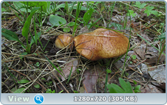 0_107e55_3556127f_orig.png