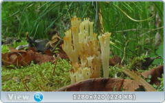 0_107e7a_e7097b2_orig.png