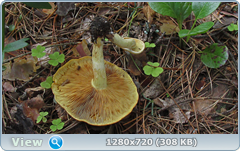 0_10ad62_bdfe182f_orig.png