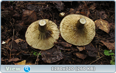 0_110843_299ea322_orig.png