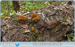 0_115032_28512e70_orig.png