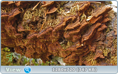 0_11504e_9f44252e_orig.png
