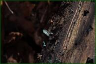 0_f47bb_77dc0375_orig.jpg