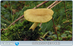 0_1297bf_475065bc_orig.png