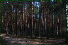 0_e305c_38365d37_orig.png