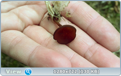 0_103d0e_b1d694cd_orig.png