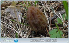 0_1054f6_64ecbc1e_orig.png