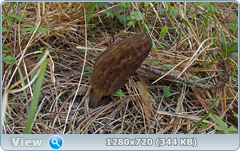 0_1054fe_4ab9ef06_orig.png
