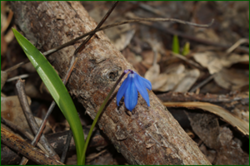 0_e022c_47eb6464_orig.png