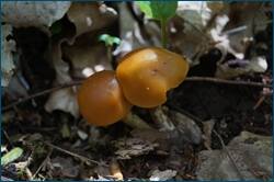 0_ccf93_c6226e8f_orig.jpg