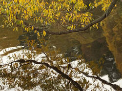 0_c3796_c04fe092_M.jpg